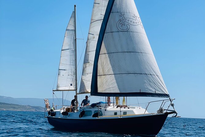 One day excursion on a sailing boat in the Gulf of Alghero - Key points to know before booking