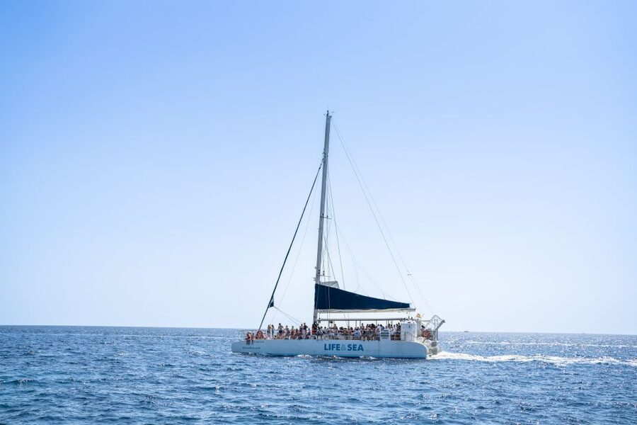 Palma: Catamaran Cruise with Swimming and Snorkelling - The swimming stop is the real highlight