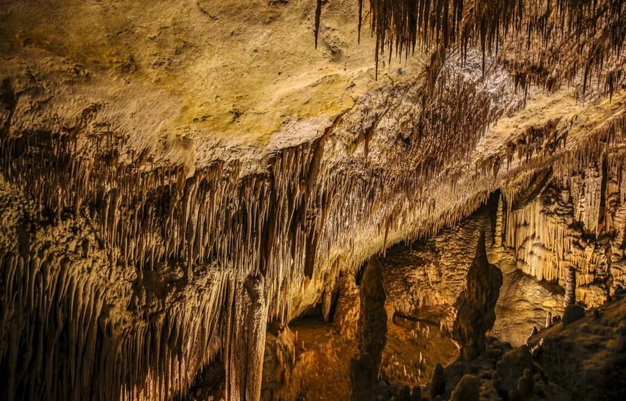 Palma: Caves of Drach Entrance, Music Concert, and Boat Trip - Arriving at Cuevas del Drach