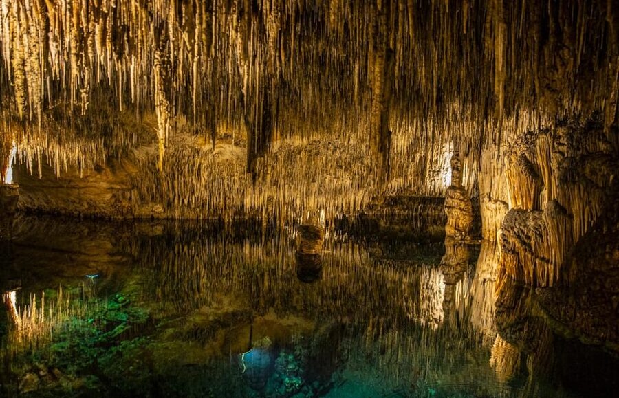 Palma: Caves of Drach Entrance, Music Concert, and Boat Trip - Free time above ground