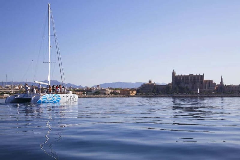 Palma de Mallorca: Deluxe Catamaran Sailing Tour with Meal - Who will enjoy the Oasis most?