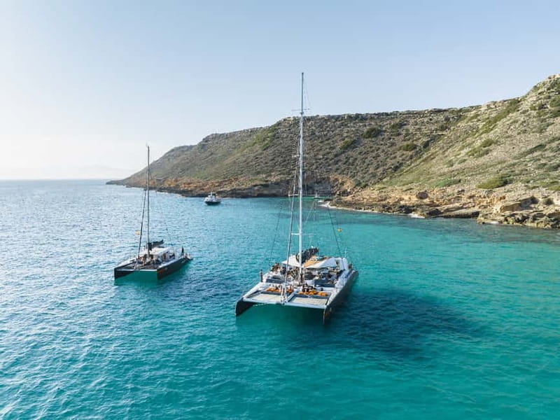 Palma de Mallorca: Half-Day Catamaran Tour with Buffet Meal - Leaving Palma from the Golondrinas marina