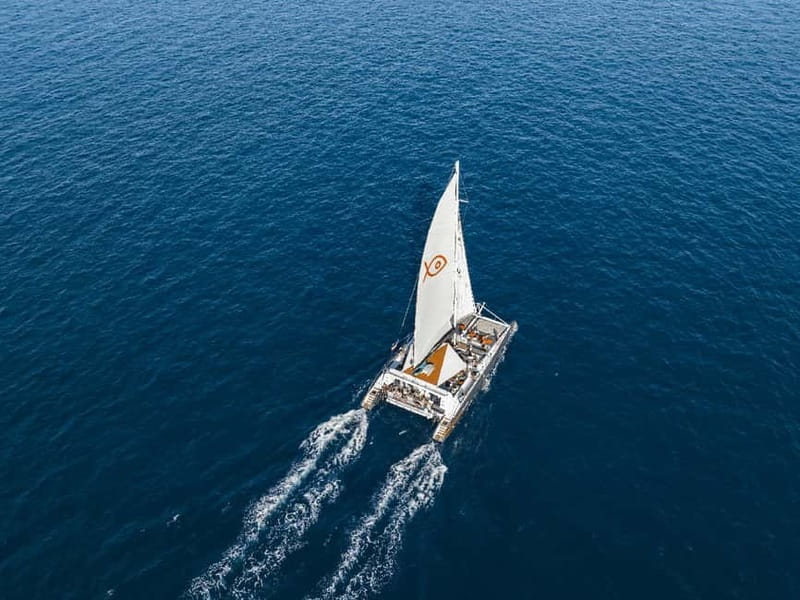 Palma de Mallorca: Half-Day Catamaran Tour with Buffet Meal - Swimming at Cala Vella