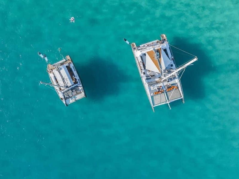 Palma de Mallorca: Half-Day Catamaran Tour with Buffet Meal - The ride across the Bay of Palma