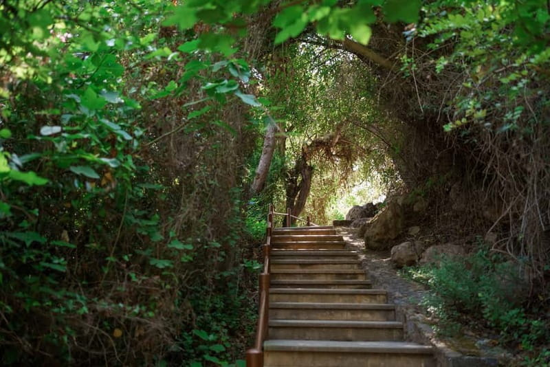Paphos/Akamas: Blue Lagoon Bus & Boat Tour with Water Slide - The road to Latchi and the Akamas Peninsula
