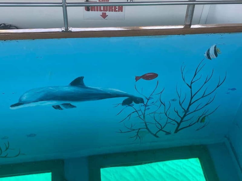 Paphos: Glass Bottom Boat Trip with Swimming or Snorkeling - Sunset sailing and seasonal conditions