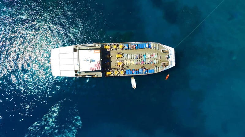 Paphos: Wave Dancer Half-Day Cruise with BBQ and Open Bar - Four hours of drinks and live entertainment