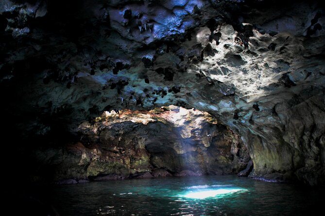 Polignano a Mare boat tour emotions, caves, diving and appetizers - Key points before you book