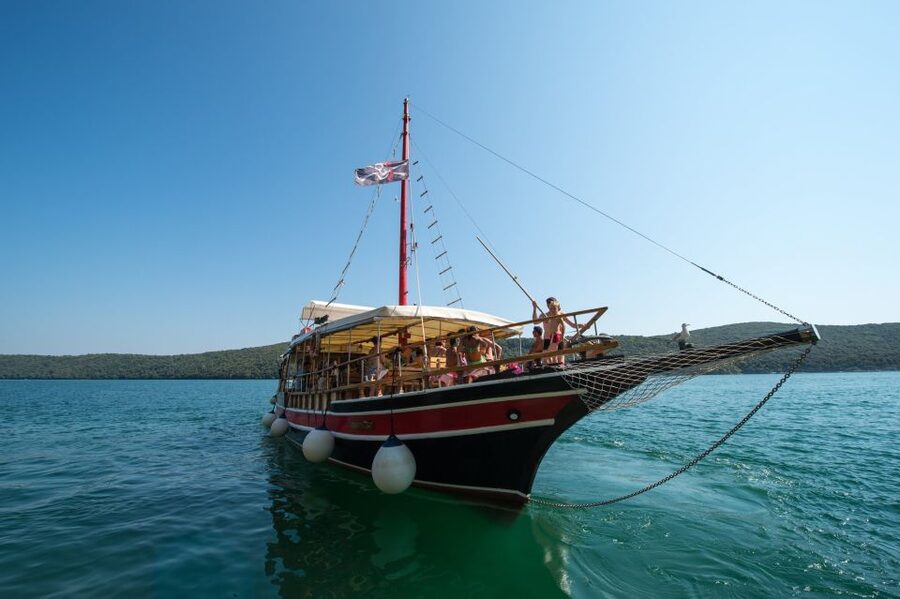 Poreč: Evening Boat Trip to Discover Dolphins - Searching for dolphins in open water