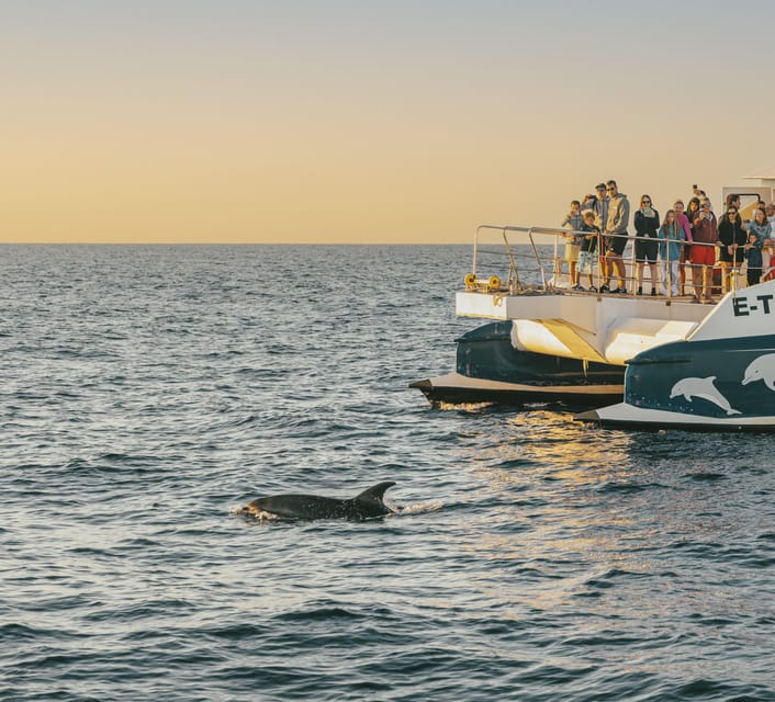 Port d'Alcudia: Sunrise at Sea & Dolphin Watching Boat Tour - Leaving Alcudia before sunrise
