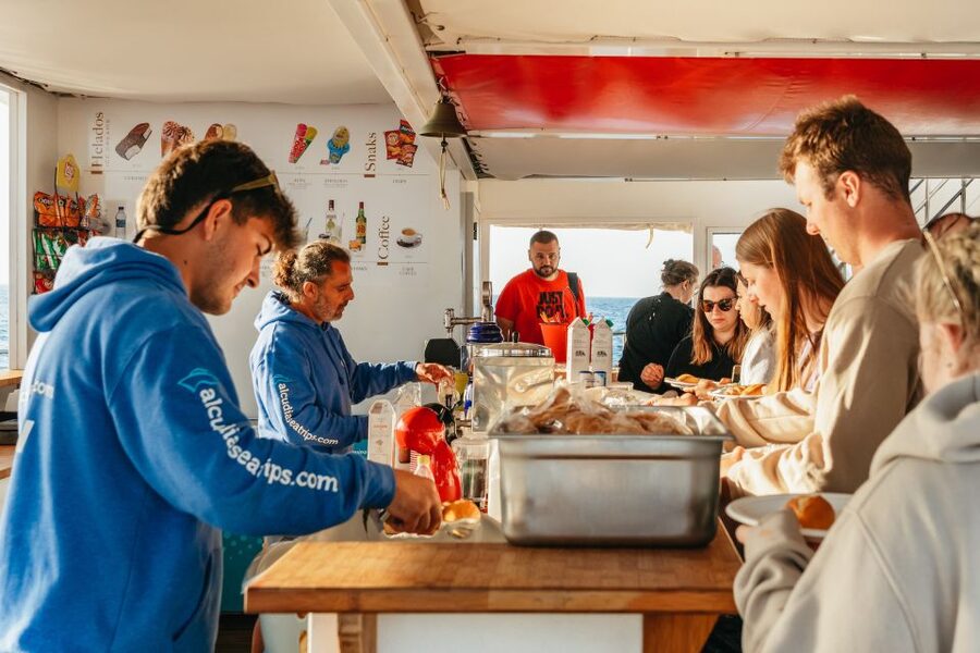 Port d'Alcudia: Sunrise at Sea & Dolphin Watching Boat Tour - Breakfast on the ride back