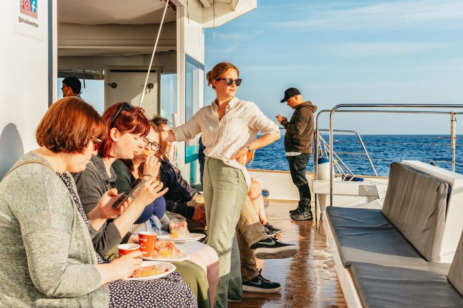 Port d'Alcudia: Sunrise at Sea & Dolphin Watching Boat Tour - Sunrise at sea, with Mallorca behind you