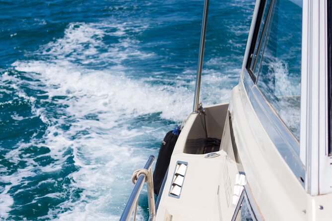 Private Sailing Tours in Zadar Archipelago - Price, group size, and overall value