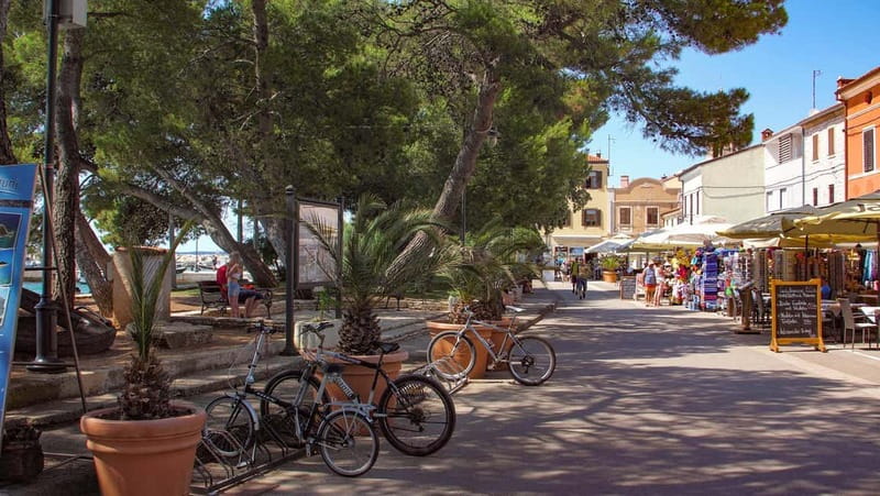 Pula: All-Inclusive Brijuni Boat Tour w Lunch, Drinks & Swim - Practical advice for a smoother day
