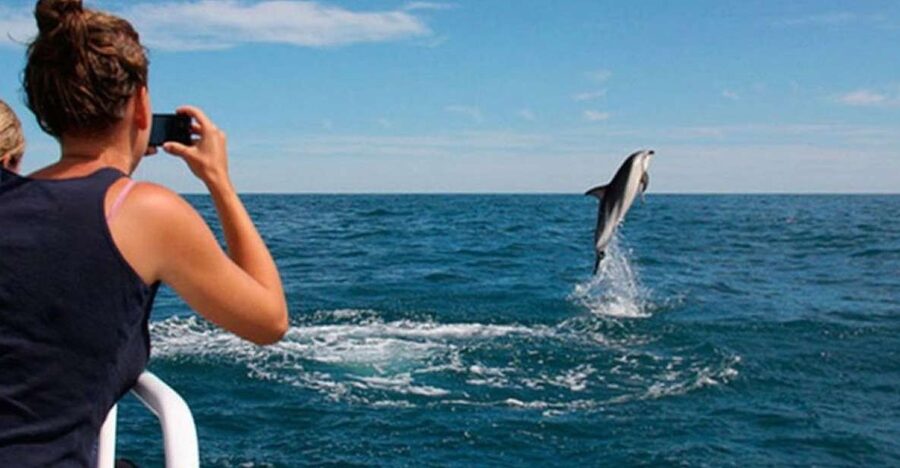 Pula: National Park Brijuni Island Visit & Dolphin Cruise - Quick take: what makes this cruise worth considering
