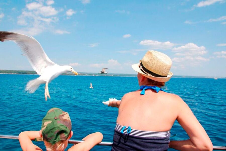 Pula: National Park Brijuni Island Visit & Dolphin Cruise - Dolphins: a lucky extra, not the main product