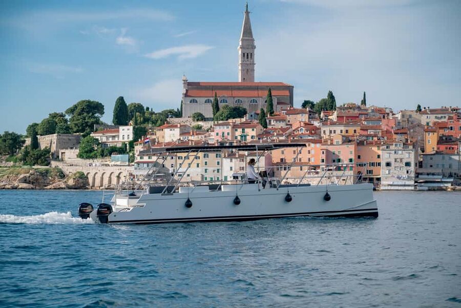 Rovinj: Sunset & dolphin group tours with Catamaran - Dolphins are the highlight, but not the whole promise