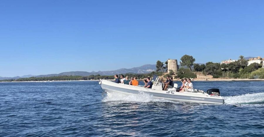 Santa Maria Navarrese: Grotta del Fico and Beaches Boat Trip - The highlights at a glance