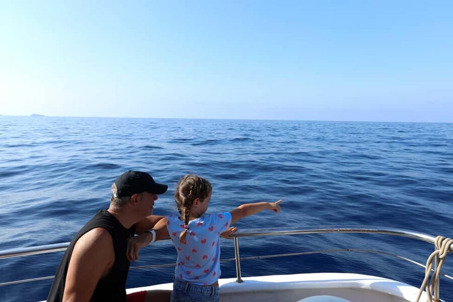 Santa Ponsa: Dolphin Watching Cruise - Should you book the Santa Ponsa dolphin cruise?