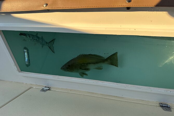 Santorini Fishing Private Cruise boat tour - BBQ, Snorkeling - A Crew That Shapes the Day