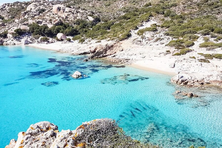 Sardinia: La Maddalena Archipelago Full-Day Trip by Boat - Five things worth knowing before you book