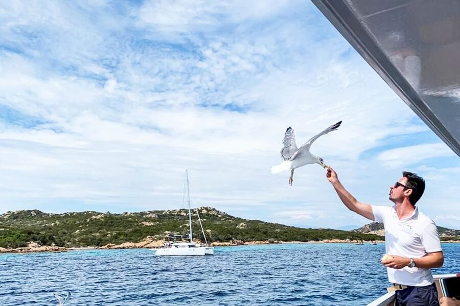 Sardinia: La Maddalena Archipelago Full-Day Trip by Boat - Guides, explanations, and the sound system