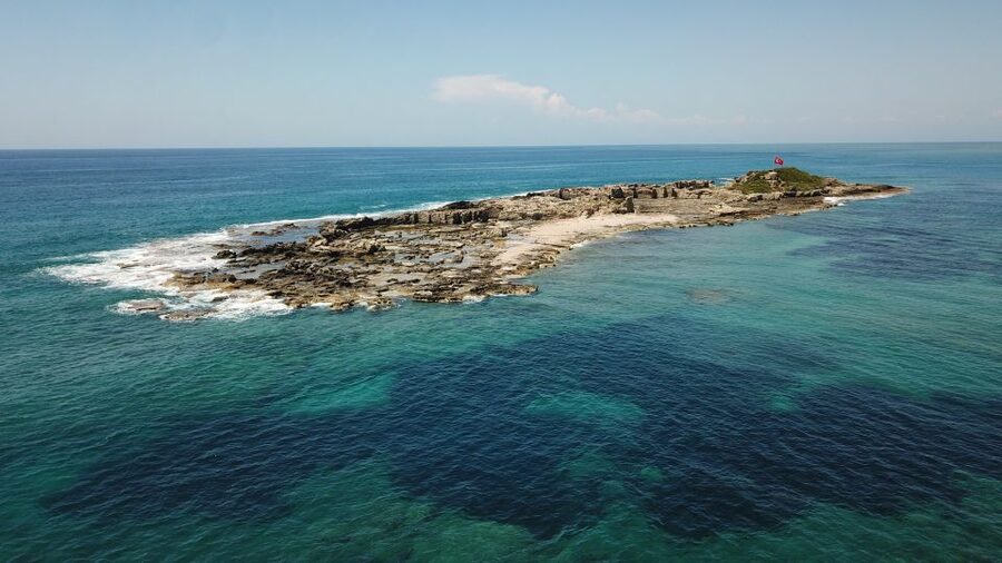 Side: Dolphin Island Boat Tour w/ Lunch & Foam Party - The $30 question: how much day do you get?