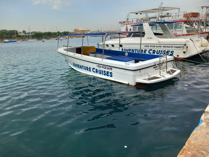 Sliema: Boat Trip to Comino Blue Lagoon, Gozo, and Caves - Who will enjoy this trip most?
