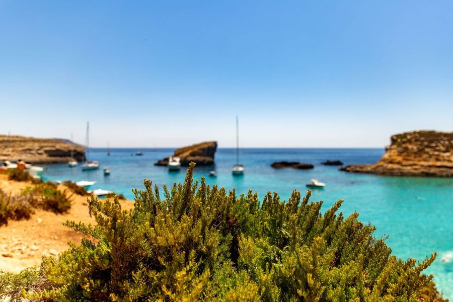 St Paul's Bay: Comino, Blue Lagoon, Gozo, & Caves Boat Tour - What the $29 price really buys you