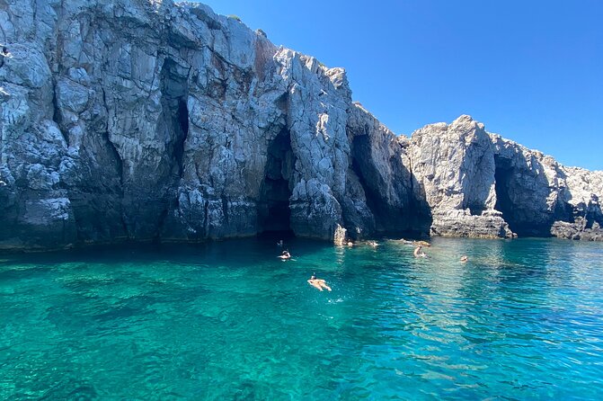 Sun & Sea All Inclusive 3 Hour Swimming Cruise (WITH PICK UP SERVICE) - Crew style and the level of information