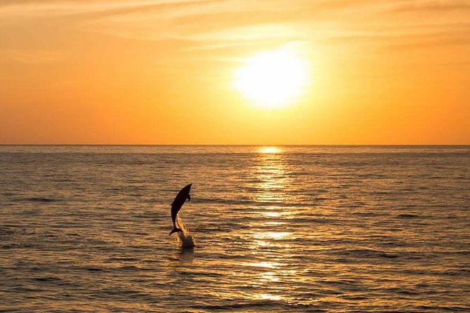 Sunset Beach Hopping Cruise, Cala Comte and Cala Bassa, SUP and snorkelling - Food and drinks: generous for some, light for others