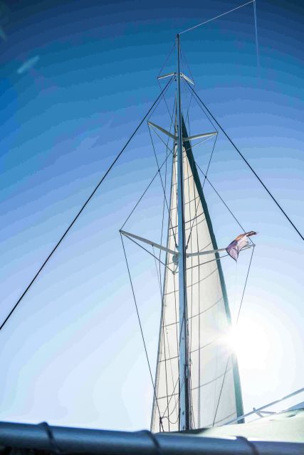 Valencia: Sailing Catamaran with Swimming & Optional DJ - Price and Overall Value at $25