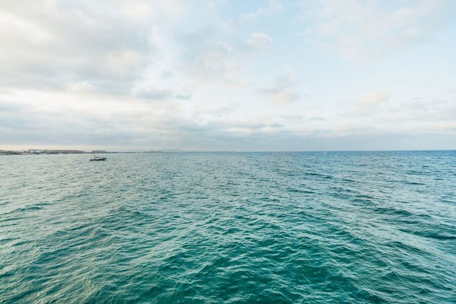 Valencia: Sunset or Daytime Catamaran Cruise with Drink - Timing, value, and the $18 price