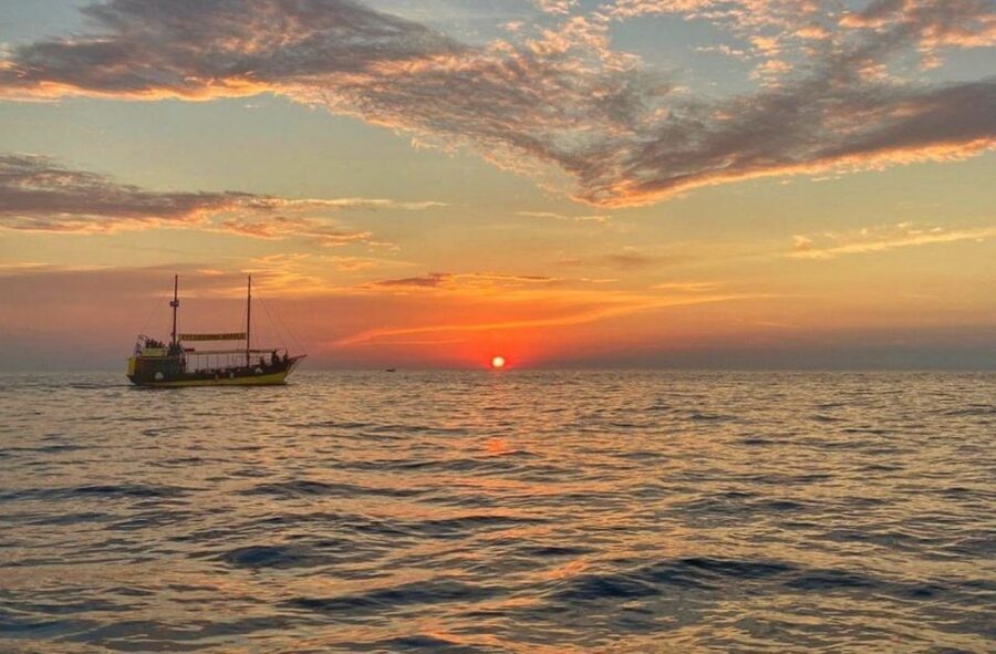 Vrsar: Dolphin Watching Boat Tour including Drinks - Quick facts about the Vrsar cruise