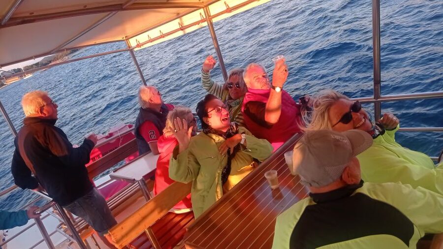 Vrsar: Dolphin Watching Boat Tour including Drinks - Price and value at $29 per person